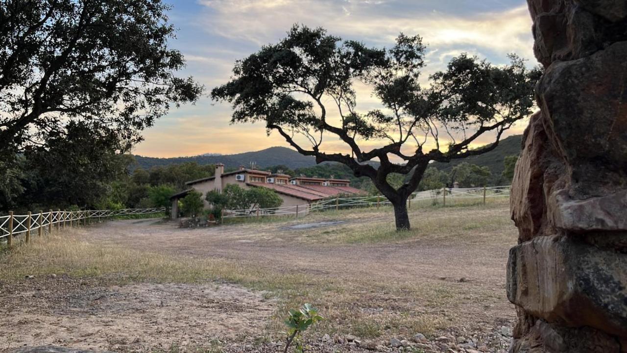 Apartment Rurales En Plena Sierra La Calera