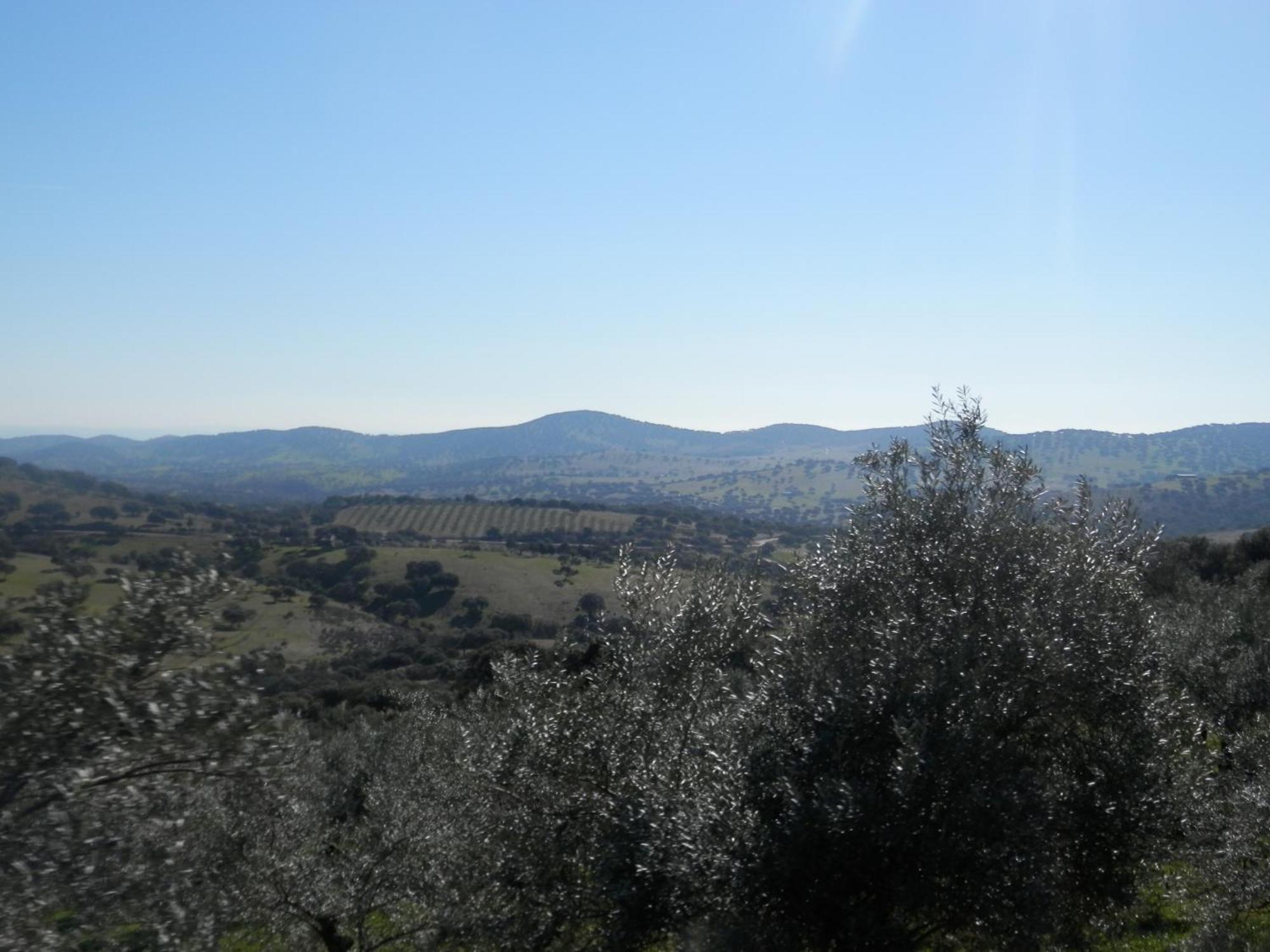 Rurales En Plena Sierra
