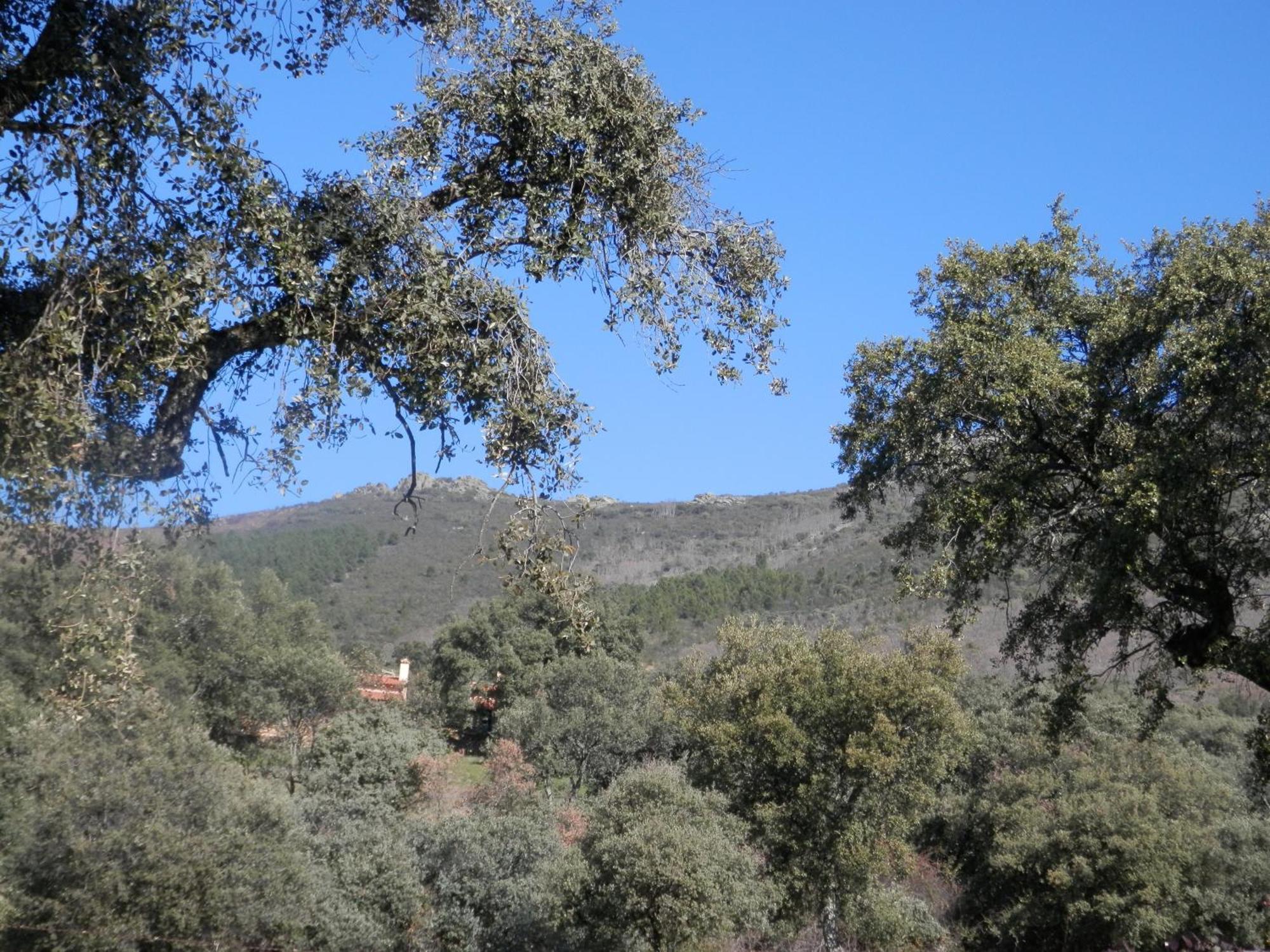 Rurales En Plena Sierra *
