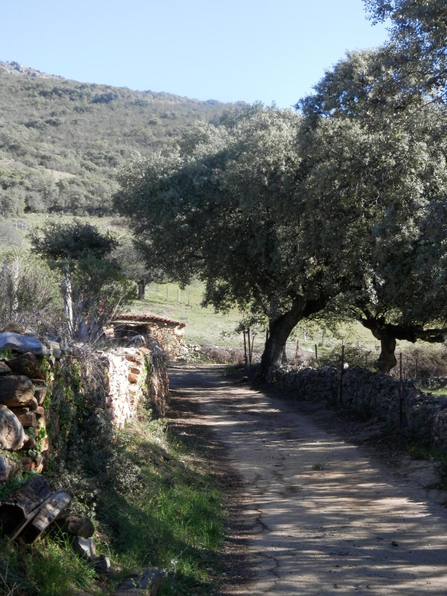 Rurales En Plena Sierra Appartement *
