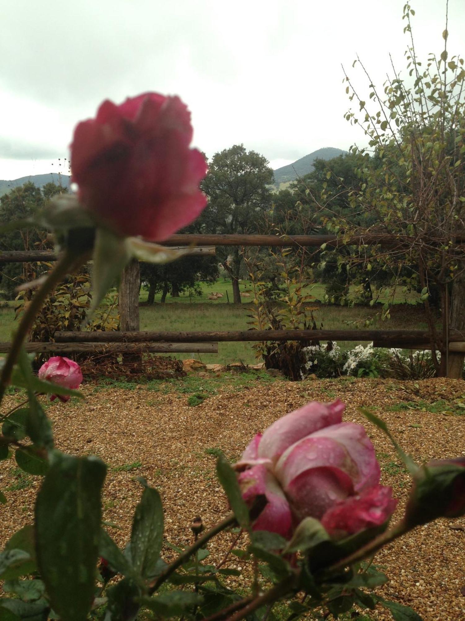 Rurales En Plena Sierra La Calera